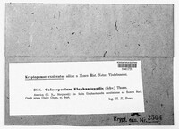 Image Associated With the Occurence